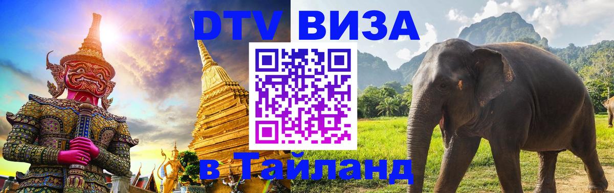 Оформление DTV визы под ключ: стоимость и тарифы, только загранпаспорт - 03.10.2025 